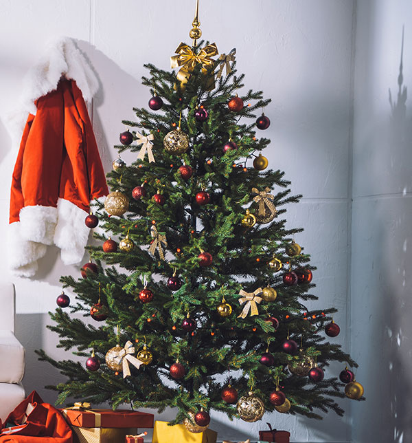 Buy Wemyss Christmas Trees 2021.