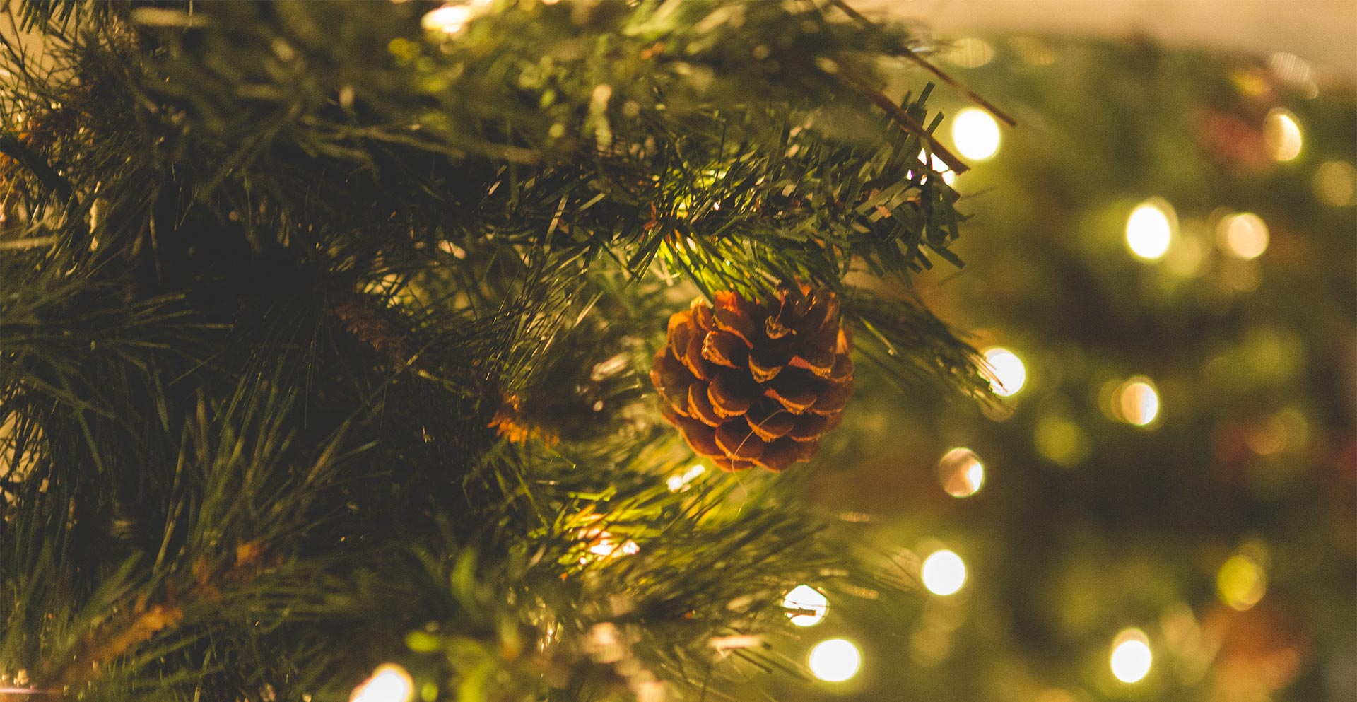 Wemyss Firewood and Christmas Trees